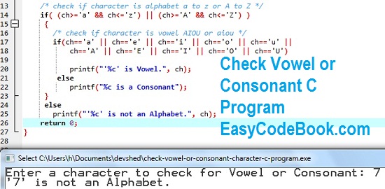 C Program Vowel or Consonant Checker program