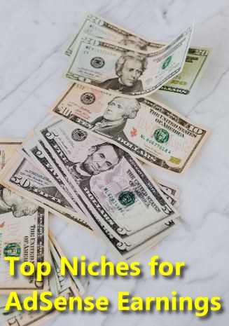 Top Niches for AdSense Earnings